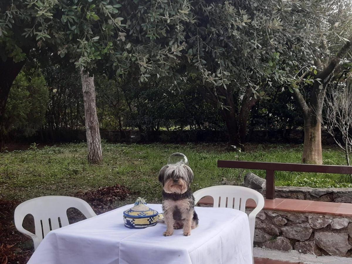 Willa La Casa Di Mario Itri Zewnętrze zdjęcie